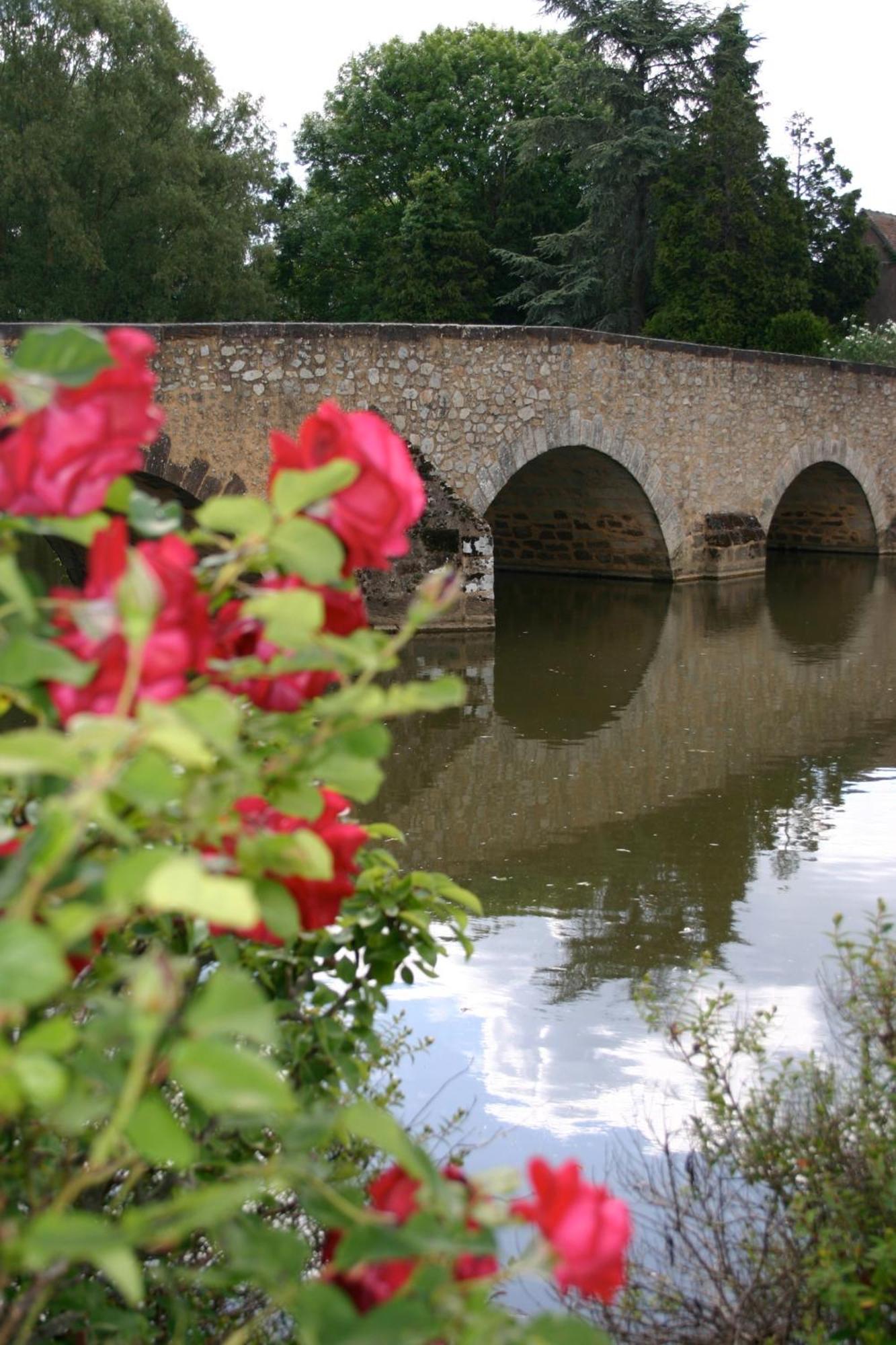 Suite Sainte Anne Beaumont-sur-Sarthe Exterior foto